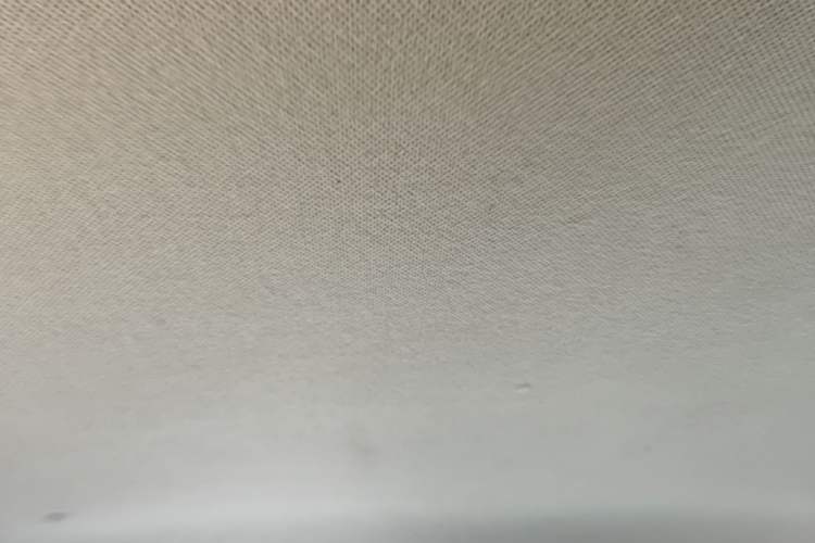 Used Baizhi New Energy Daxiong 2022 10.36 kWh Raccoon Headliner