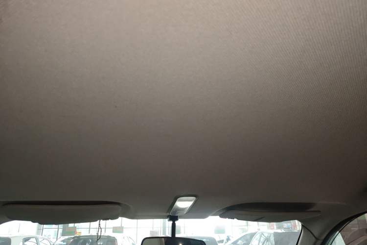 Used Baizhi New Energy Daxiong 2022 10.36kWh Le Xiong S Standard Edition Headliner