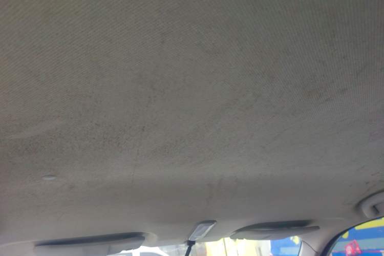 Used Baizhi New Energy Daxiong 2022 10.36 kWh Raccoon Headliner