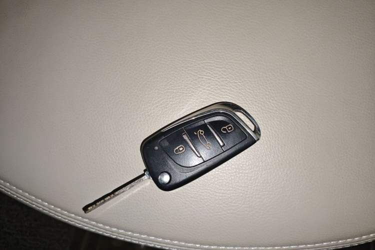 Used Baizhi New Energy Daxiong 2022 10.36kWh Le Xiong S Standard Edition Interior 1