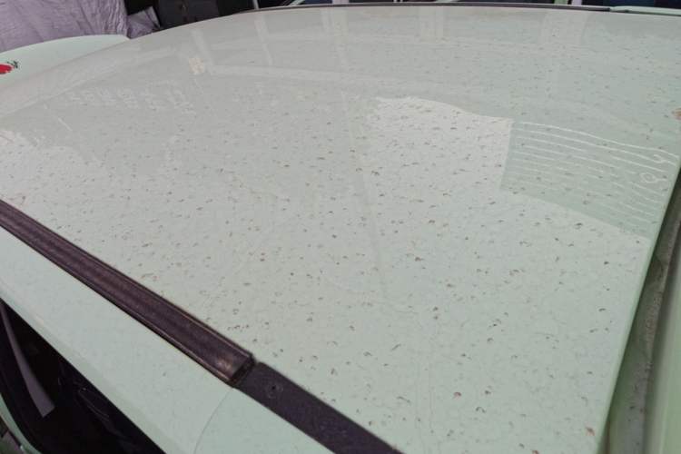 Used Baizhi New Energy Daxiong 2022 10.36kWh Le Xiong Roof
