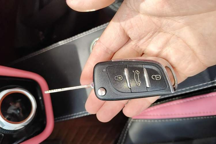 Used Baizhi New Energy Daxiong 2022 10.36kWh Le Xiong Vehicle Key