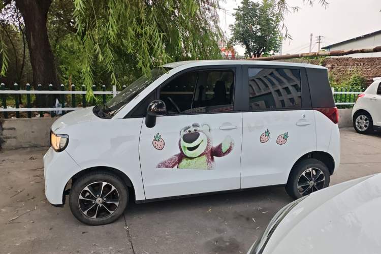 Used Baizhi New Energy Daxiong 2022 10.36kWh Le Xiong S Standard Edition Exterior 3