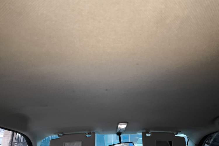 Used Baizhi New Energy Daxiong 2022 10.36kWh Le Xiong Headliner