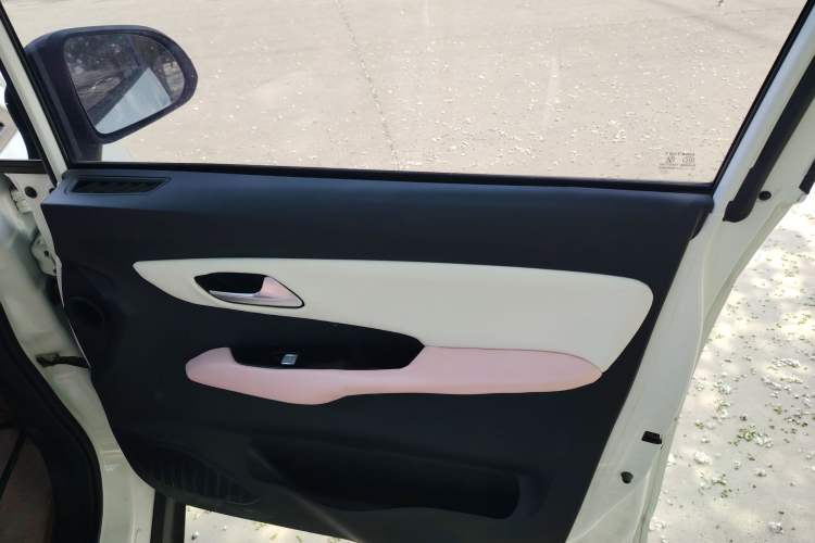 Used Baizhi New Energy Daxiong 2022 15kWh Cool Bear Standard Edition Right Front Door Interior