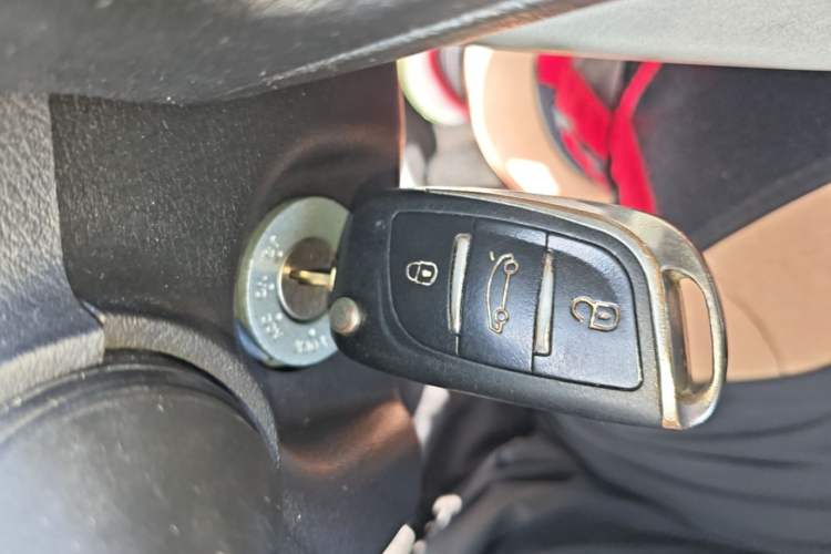 Used Baizhi New Energy Daxiong 2022 10.36kWh Le Xiong S Standard Edition Vehicle Key
