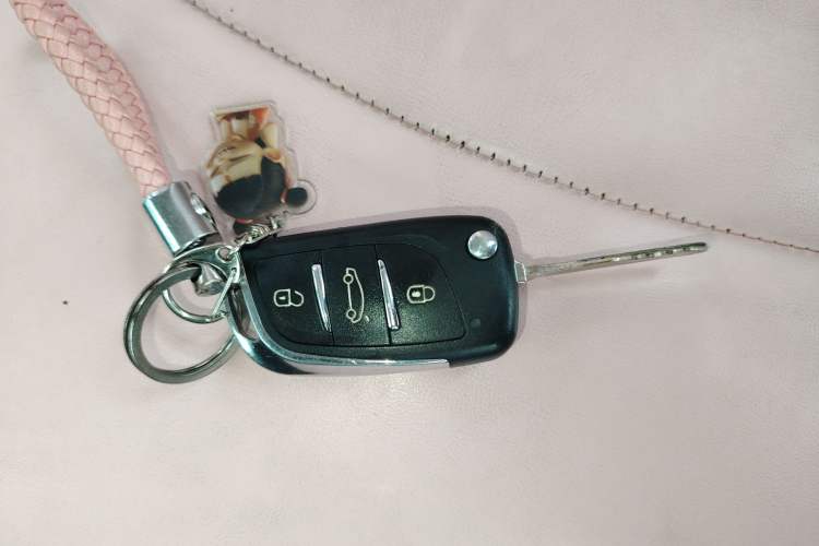 Used Baizhi New Energy Daxiong 2022 15kWh Cool Bear Standard Edition Vehicle Key