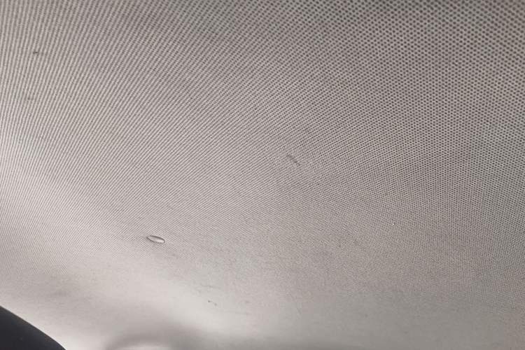 Used Baojun 310 2016 1.2L Manual Fashionable Edition Headliner