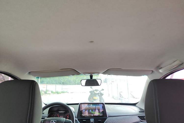 Used Baojun 310 2016 1.2L manual Comfort trim level Headliner