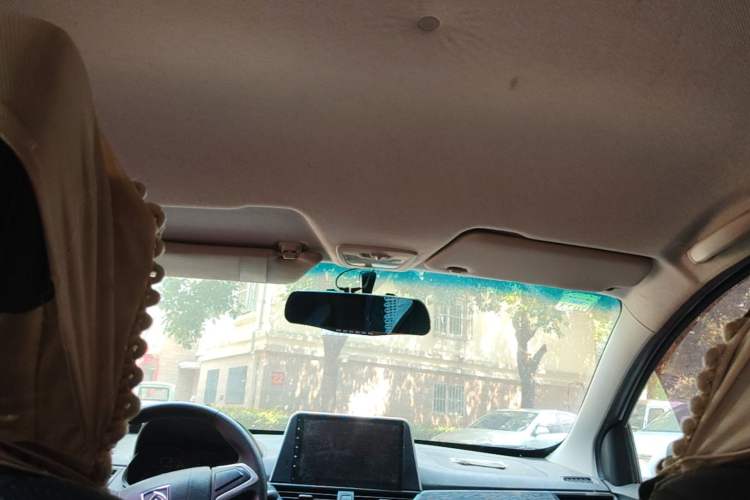 Used Baojun 310 2016 1.2L manual Comfort trim level Headliner