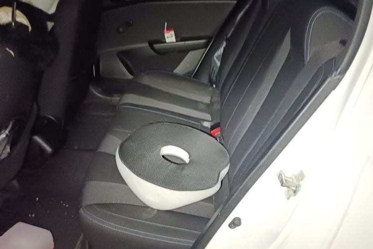 Used Baojun 310 2016 1.2L Manual Value Edition Left Rear Seat