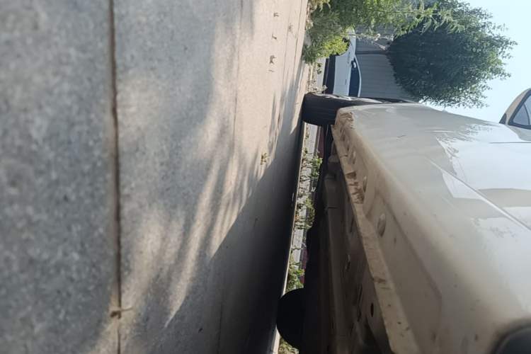 Used Baojun 310 2016 1.2L manual Comfort trim level Left Side Sill