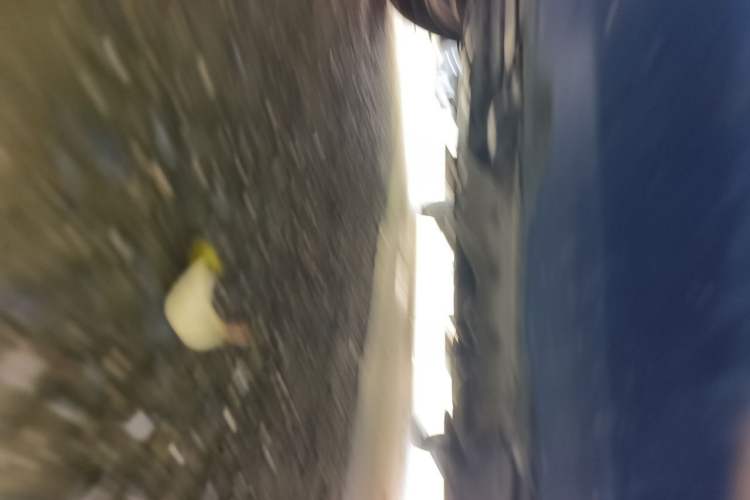 Used Baojun 310 2017 1.5L Manual Luxury Model Chassis Front