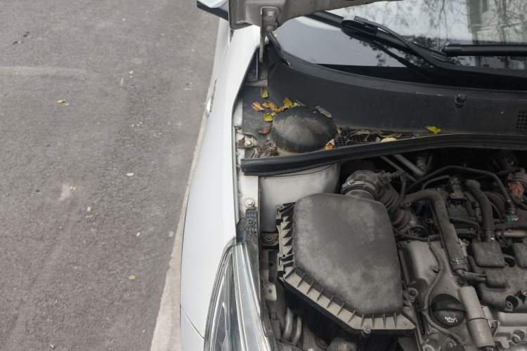 Used Baojun 310 2017 1.5L Manual Fashion Model Engine Bay Right