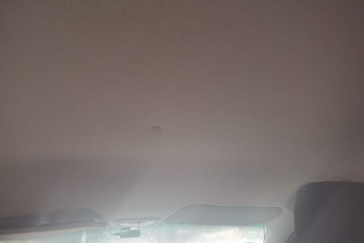 Used Baojun 310 2017 1.5L manual Comfort trim Headliner