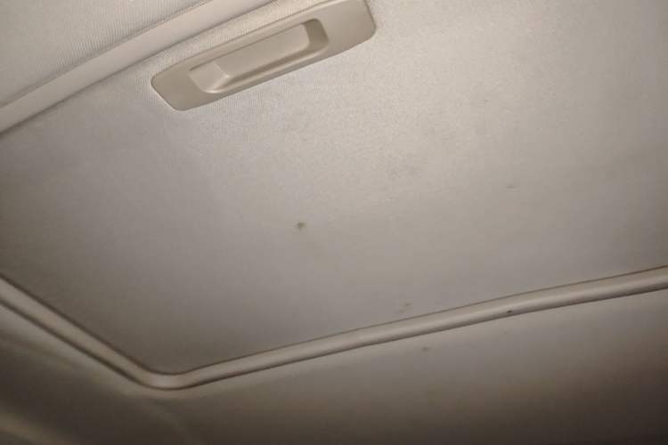 Used Baojun 310 2017 1.5L Automatic Luxury Model Headliner