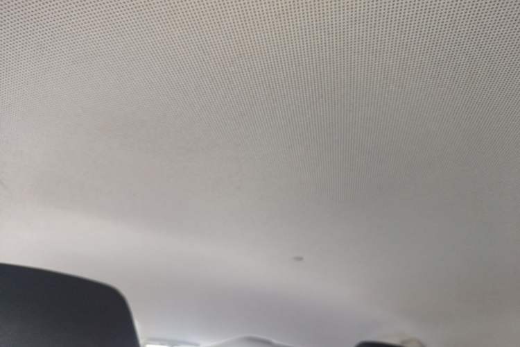 Used Baojun 310 2020 1.2L Manual Comfort Edition Headliner