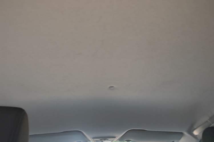 Used Baojun 310 2020 1.2L Manual Value Edition Headliner