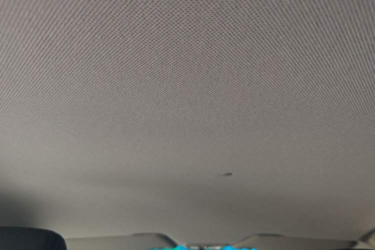 Used Baojun 310 2020 1.2L Manual Value Edition Headliner