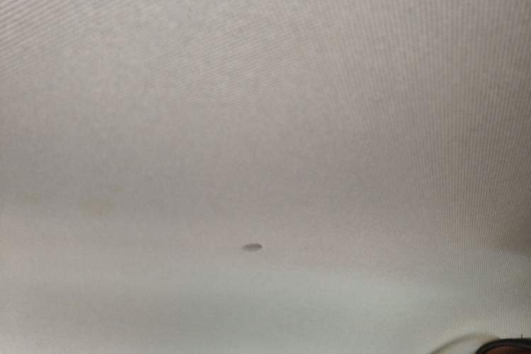 Used Baojun 310 2020 1.2L Manual Value Edition Headliner