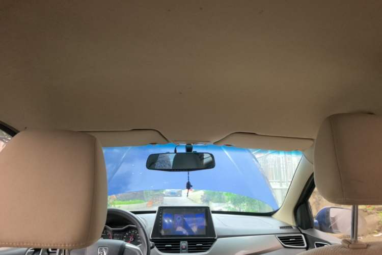 Used Baojun 310W 2017 1.5L Manual Comfort Version China V Headliner