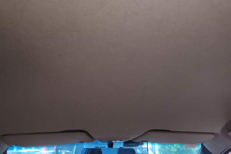 Used Baojun 310W 2017 1.5L Manual Fashion Model China V Headliner