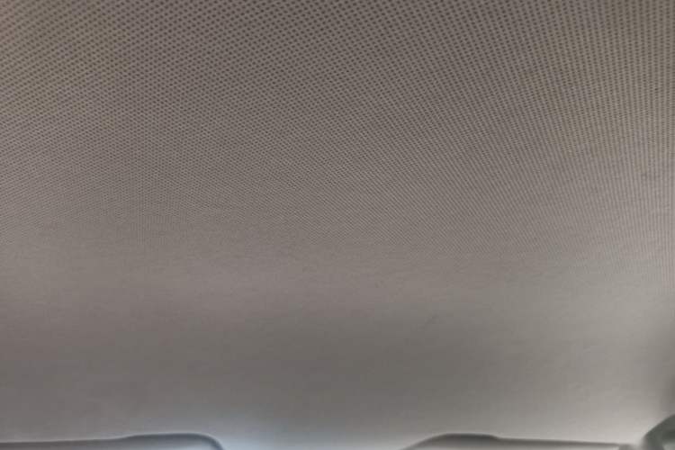 Used Baojun 310W 2017 1.5L Manual Fashion Edition China VI Headliner