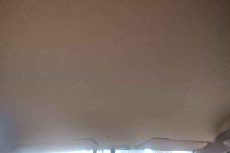 Used Baojun 310W 2017 1.5L Manual Comfort Version China V Headliner