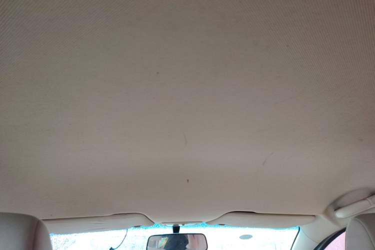 Used Baojun 310W 2017 1.5L Manual Comfort Version China V Headliner