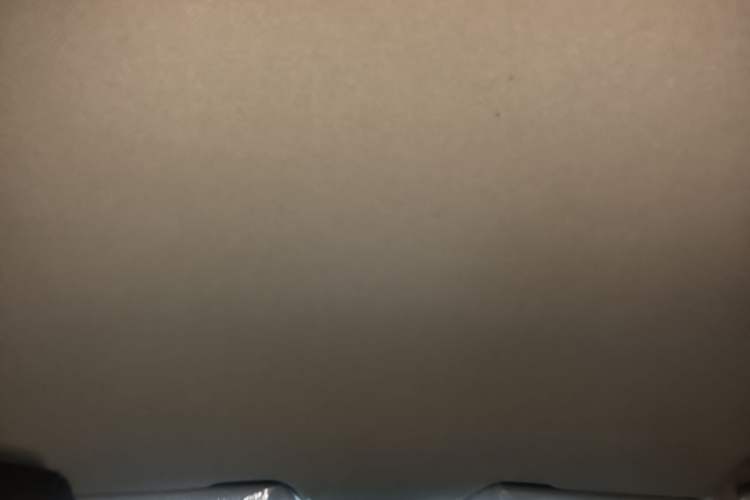Used Baojun 310W 2017 1.5L Manual Fashion Model China V Headliner