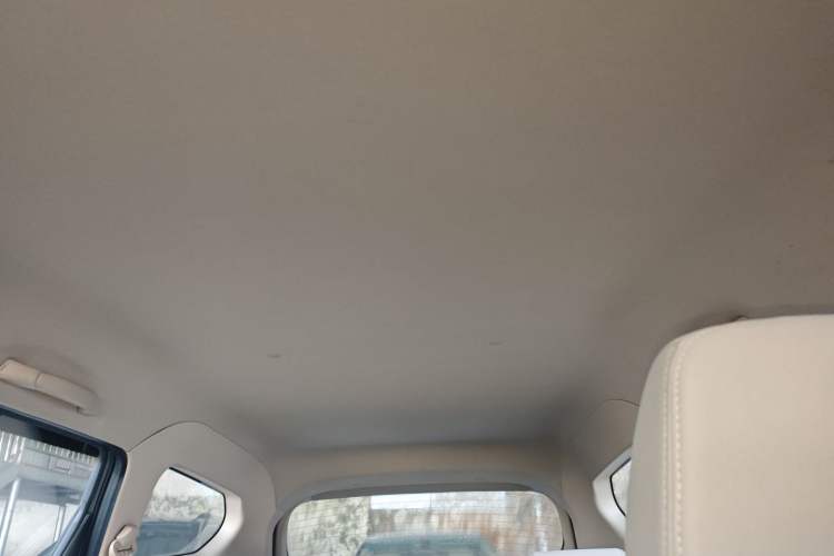 Used Baojun 310W 2017 1.5L Manual Comfort Version China V Headliner
