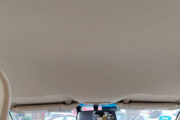 Used Baojun 310W 2017 1.5L Manual Fashion Model China V Headliner
