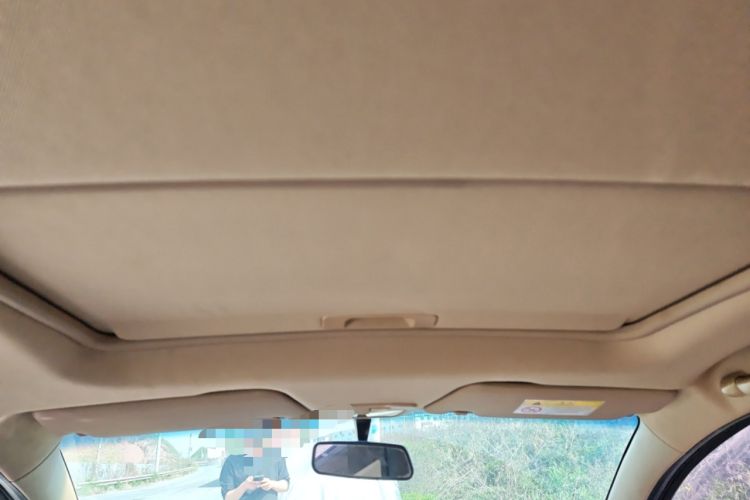 Used Baojun 310W 2017 1.5L Manual Luxury Edition China V Headliner