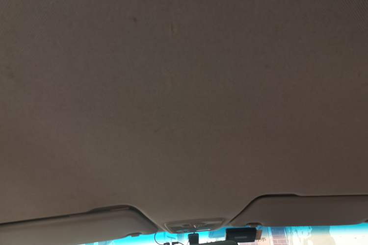 Used Baojun 310W 2017 1.2L Manual Value Edition China V Headliner