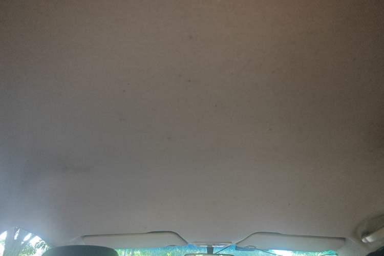 Used Baojun 310W 2017 1.5L Manual Fashion Edition China VI Headliner