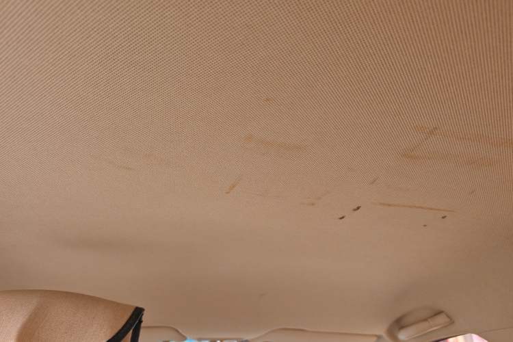 Used Baojun 310W 2017 1.5L Manual Comfort Version China V Headliner