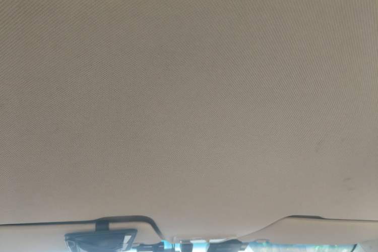 Used Baojun 310W 2017 1.5L Manual Fashion Edition China VI Headliner