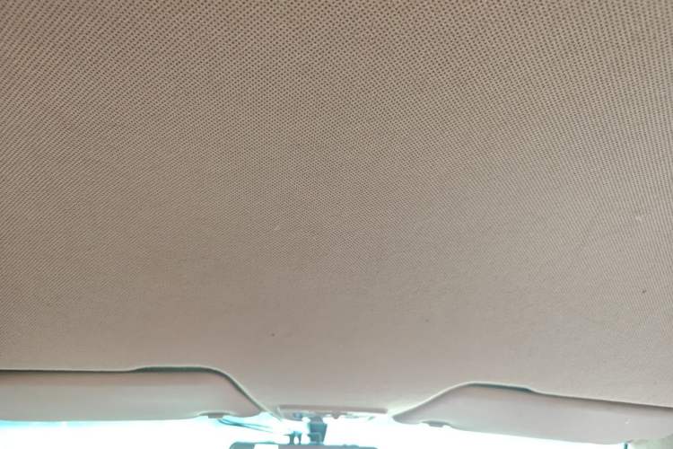 Used Baojun 310W 2017 1.5L Manual Comfort Version China V Headliner