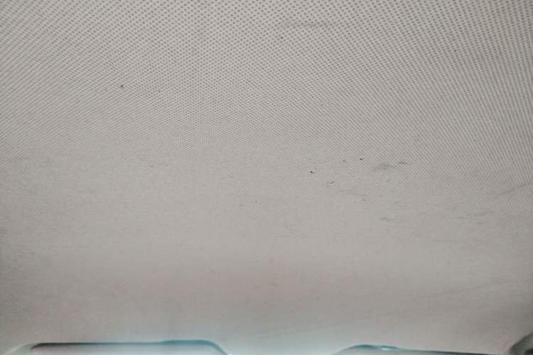 Used Baojun 310W 2017 1.5L Manual Fashion Model China V Headliner