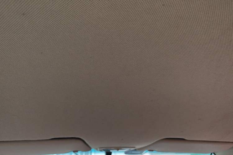 Used Baojun 310W 2017 1.5L Manual Fashion Model China V Headliner