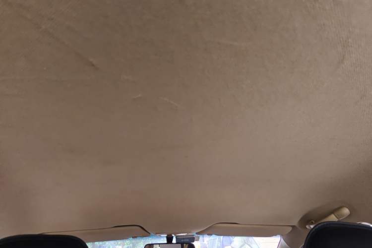 Used Baojun 310W 2017 1.5L Manual Fashion Edition China VI Headliner
