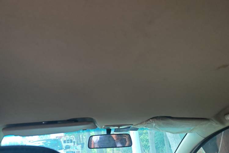 Used Baojun 310W 2017 1.5L Manual Comfort Version China V Headliner