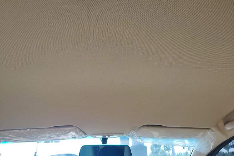 Used Baojun 310W 2017 1.5L Manual Comfort Version China V Headliner
