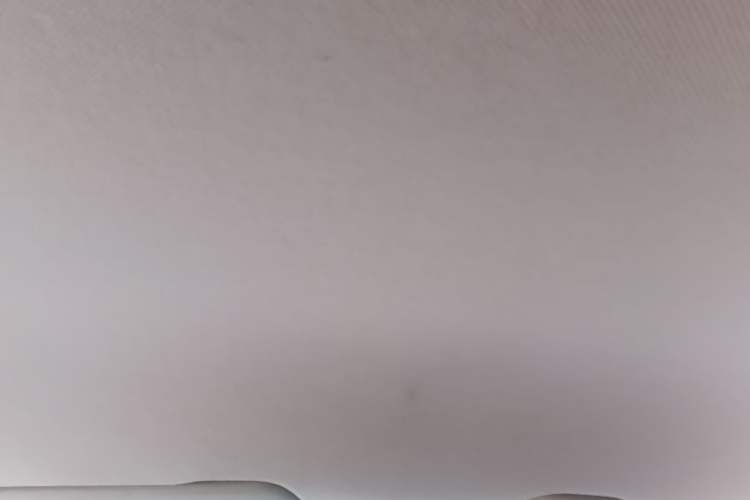 Used Baojun 310W 2017 1.5L Manual Comfort Version China V Headliner