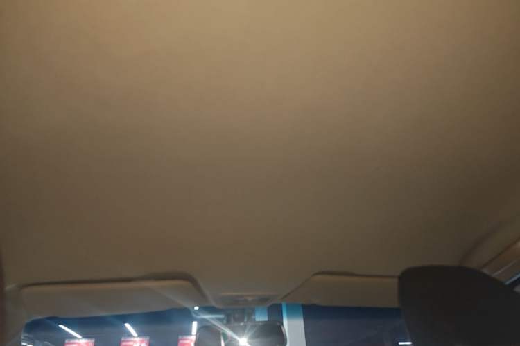 Used Baojun 310W 2017 1.5L Manual Fashion Model China V Headliner