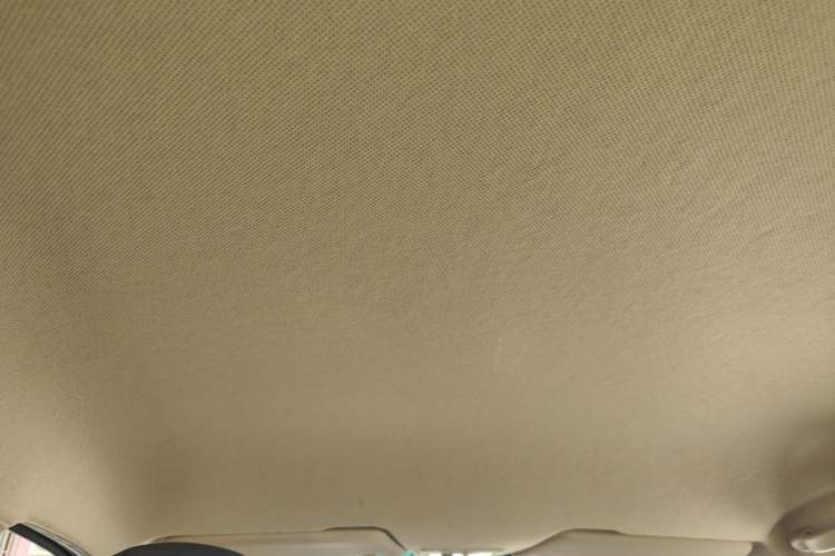 Used Baojun 310W 2017 1.5L Manual Fashion Edition China VI Headliner