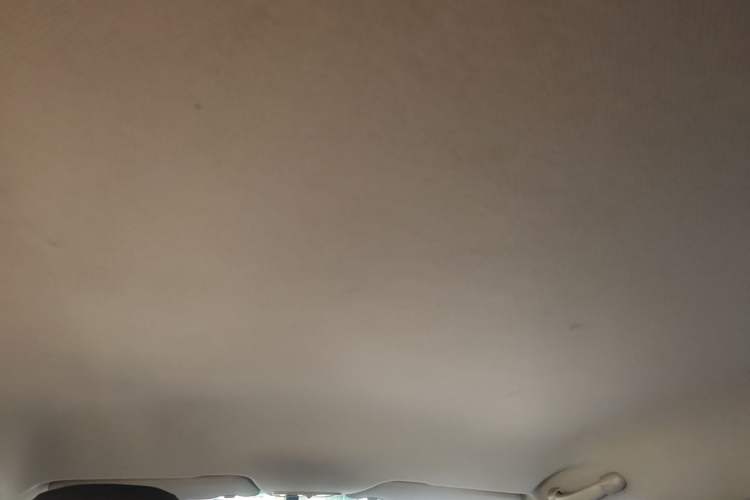 Used Baojun 310W 2017 1.5L Manual Fashion Edition China VI Headliner