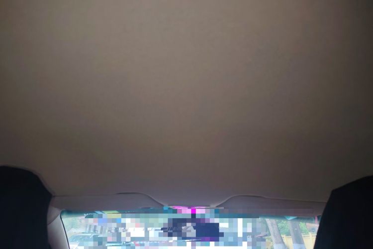 Used Baojun 310W 2017 1.5L Manual Comfort Version China V Headliner