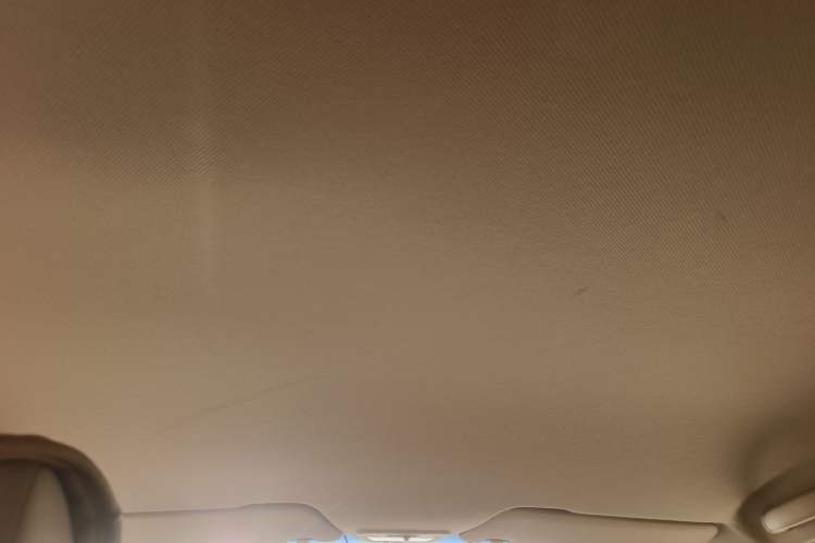 Used Baojun 310W 2017 1.5L Manual Comfort Version China V Headliner