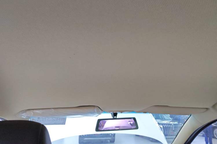 Used Baojun 310W 2017 1.5L Manual Fashion Edition China VI Headliner